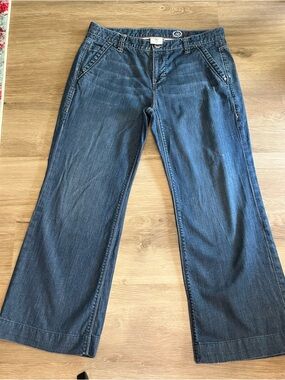 Vintage Vibe Gap 1969 Limited Edition Wide Leg Slight Flare Jeans Size 10